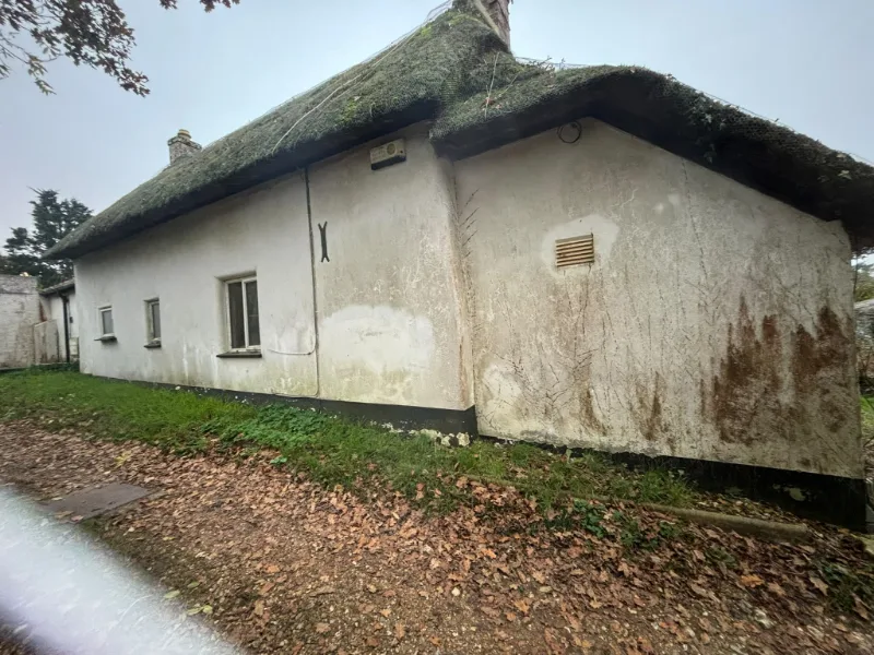 Before: a thatched cottage with damp-stained, discoloured render low on its walls